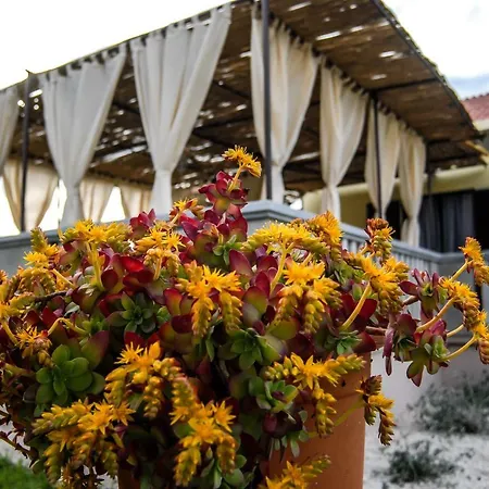 Casa vacanze Kuca Za Odmor Dido Ive Ugljan